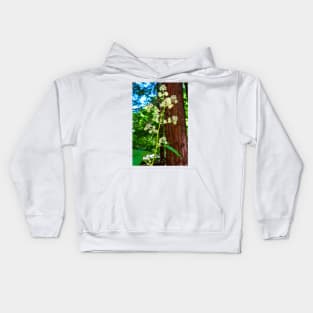 Muir Woods Study 2 Kids Hoodie